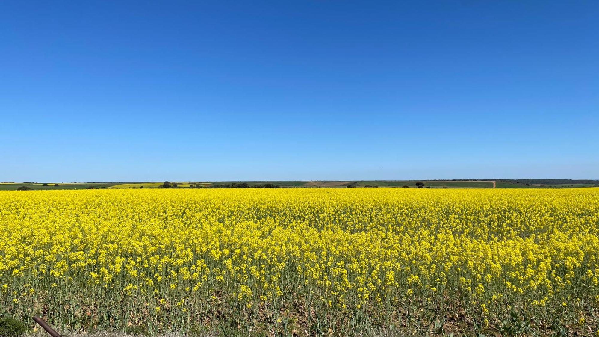 Los Cipreses De Mesones Mesones  Exteriör bild