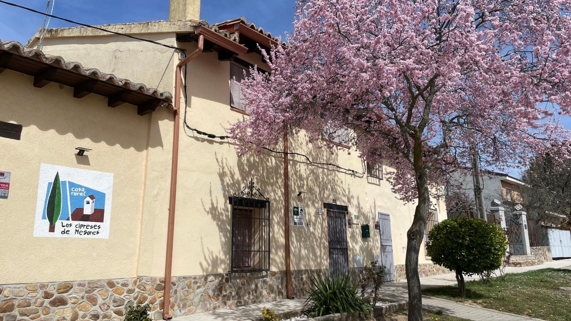Los Cipreses De Mesones Mesones  Exteriör bild